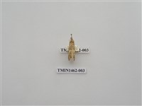 藏品(尺蠖蛾科)的圖片